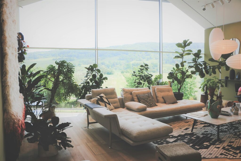 Brown and black sofa set